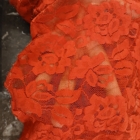 Elegant Red Lace Chemise - Picture 12 of 15